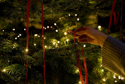 Giving Tuesday at Mint & Needle: Supporting Our Daily Bread This December